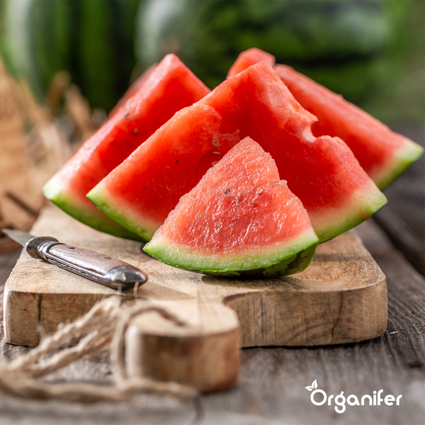 Obstsaatgutpaket - 13 Arten - Organifer