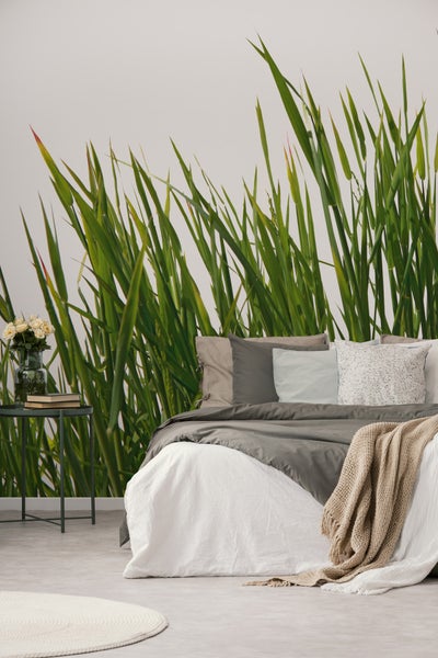 Schlafzimmer mit Fototapete mit Gräsern, Bett und Nachttisch