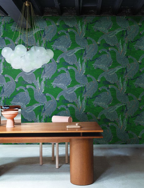 Königskerze mit gelben Blüten im Garten.