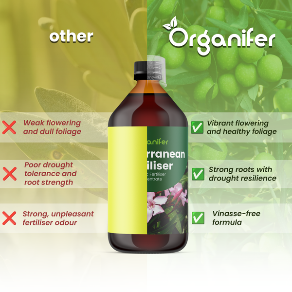 Organifer mediterraner Flüssigdünger. Vergleich zeigt Vorteile: vitale Blüte, gesundes Blattwerk, starke Wurzeln, trockenresistent, vinassefrei.