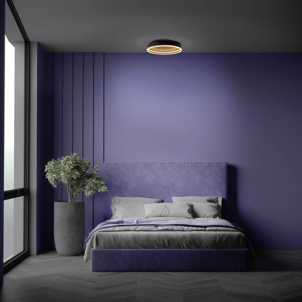 Schlafzimmer mit Bett, Topfpflanze und Deckenleuchte