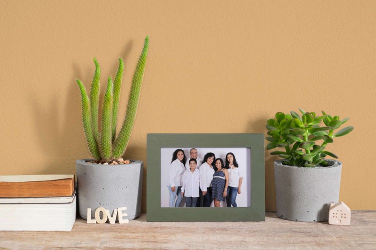 Grüner Bilderrahmen mit Familienfoto zwischen zwei Beton-Pflanztöpfen mit Sukkulenten auf einem Holzregal.