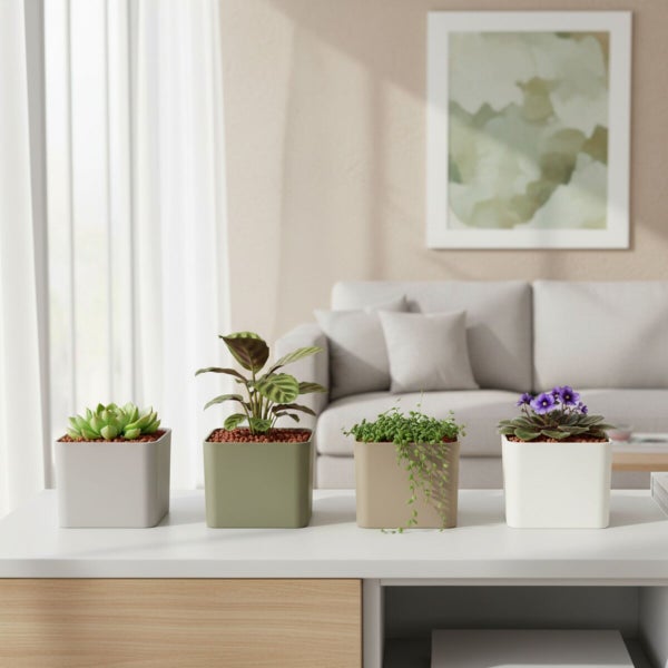 Vier verschiedene Zimmerpflanzen in quadratischen Übertöpfen auf einem Sideboard in einem hellen, organisierten Wohnzimmer mit Sofa und Fenster.