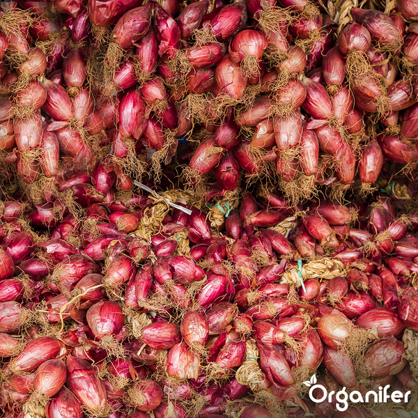 Selbstklebende, flexible Weichsockelleiste für Wandabschlüsse