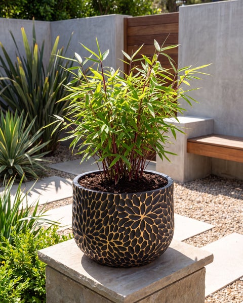 Bambuspflanze in einem strukturierten, dekorativen Blumentopf in einem modern gestalteten Garten.