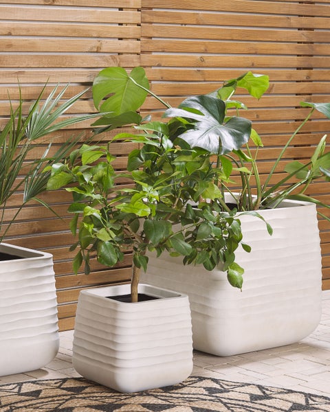 Szene mit Pflanzen in drei strukturierten Pflanzgefäßen vor einer Holzwand