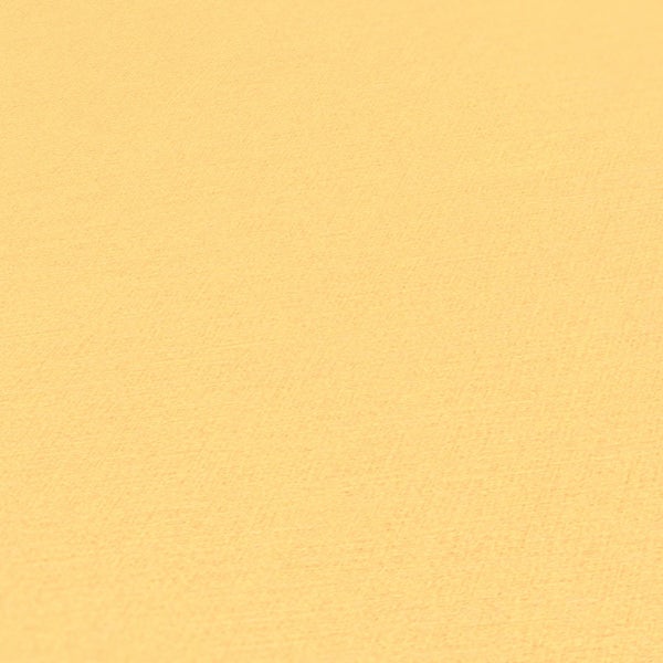 Nahaufnahme von Kiefernnadeln