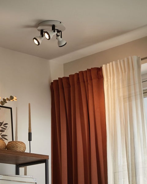 Zitrusbaum Calamondin im Topf mit Früchten vor einer Backsteinmauer und einem Holzzaun.