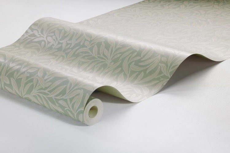 Nahaufnahme von Margeriten im Gartenbeet.