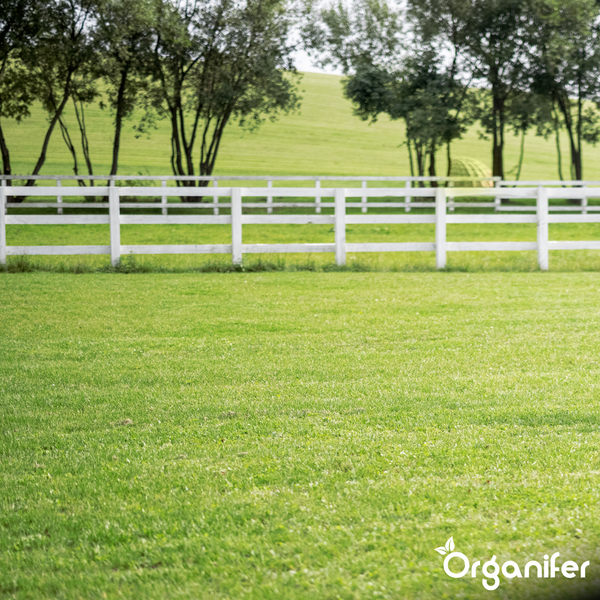 Landschaft mit Rasen und Holzzaun