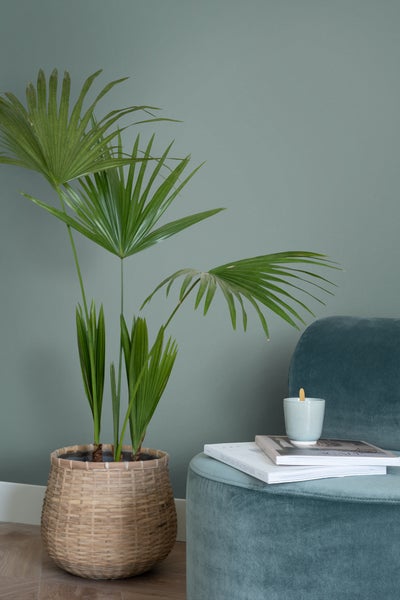 ESTAhome Wandfarbe matt  Graublau - 2 l / ca. 18 m² - 191014