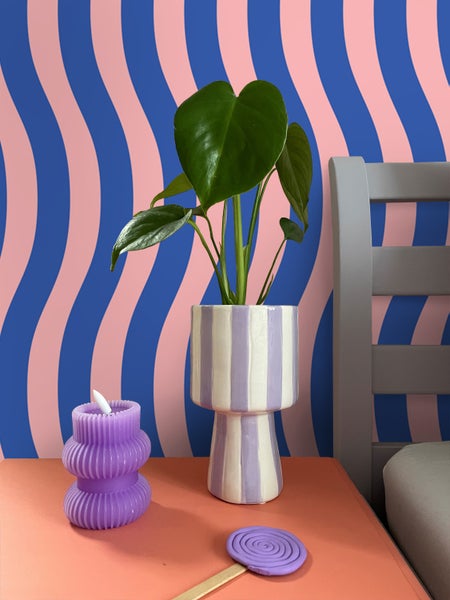 Dekorative Zimmerpflanze in gestreiftem Topf neben einer Kerze