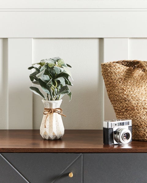 Dekorative Szene mit Vase, Pflanze, Kamera und Korb auf einer Kommode