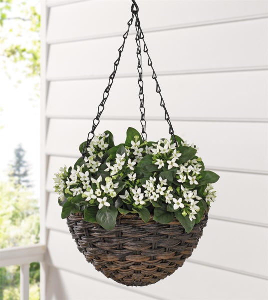 Dekoleidenschaft Pflanzenampel aus Polyrattan, braun, Ø 25 cm, Blumenampel für Drinnen & Draußen, Hängeampel für Balkon & Garten, Hängeblumentopf