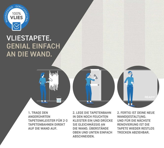 Zimmerpflanze mit grünen Blättern im Topf