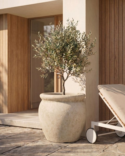 Olivenbaum in großem, rundem Pflanzgefäß auf einer Terrasse mit Steinboden, Holzfassade und einer Sonnenliege.