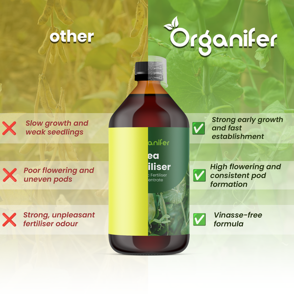 Organifer Flüssigdünger Vergleich: Starkes Wachstum, reiche Blüte und vinassefreie Formel im Gegensatz zu anderen Düngemitteln.