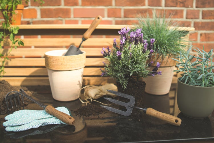 Teak Gartenwerkzeug Set Bari 3-tlg. geschmiedet Teak Griff premium