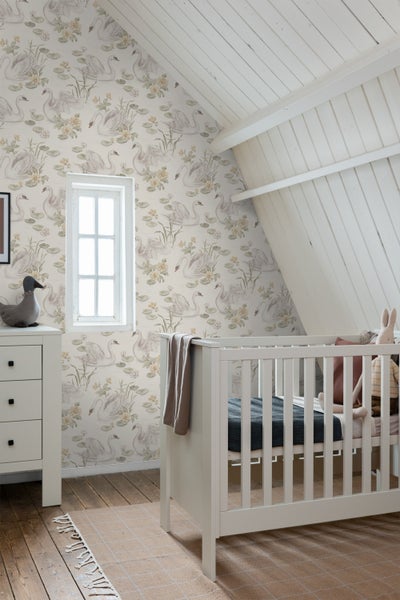 Agastache mexicana Pflanzeninformationen