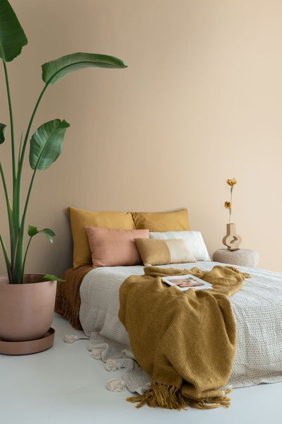 ESTAhome Wandfarbe matt  Terrakotta - 2 l / ca. 18 m² - 191005