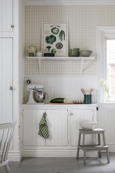 Blätter und schwarze Beeren an rotem Hartriegelzweig