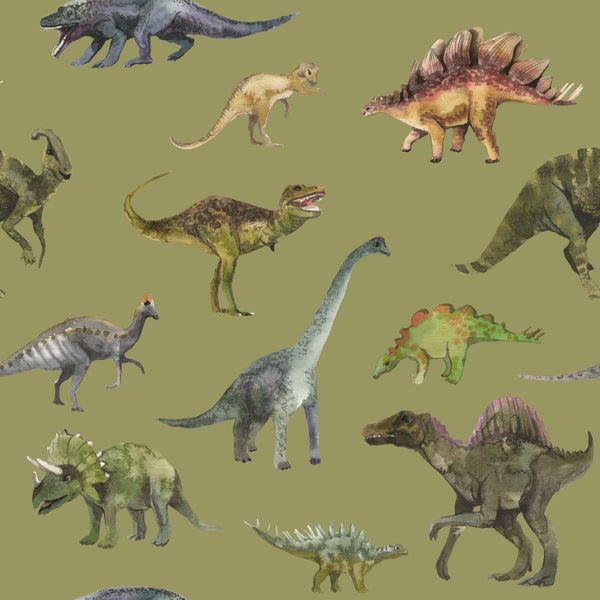 Sanders und Sanders Tapete Dinosaurier Grün - 50 x 900 cm - 935368