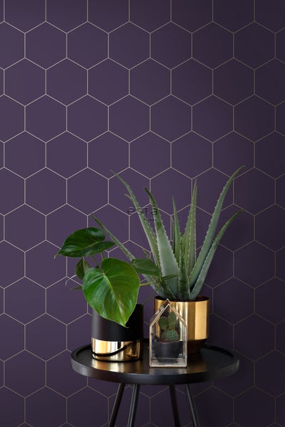 Dekorative Wand mit geometrischem Muster und Zimmerpflanzen auf einem Tisch