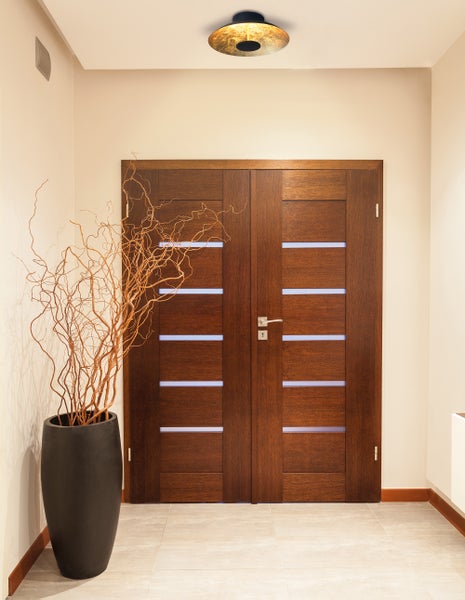 Flur mit Doppeltür, Deckenleuchte und Zierpflanze im Topf