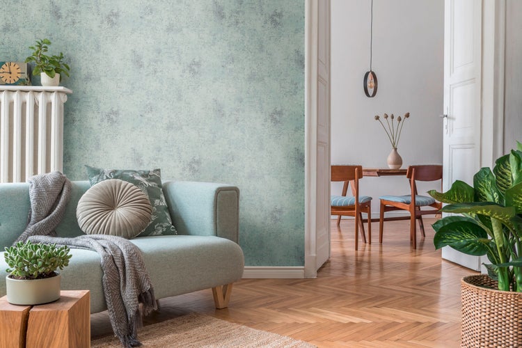 Reihe von Säulenzypressen in Töpfen