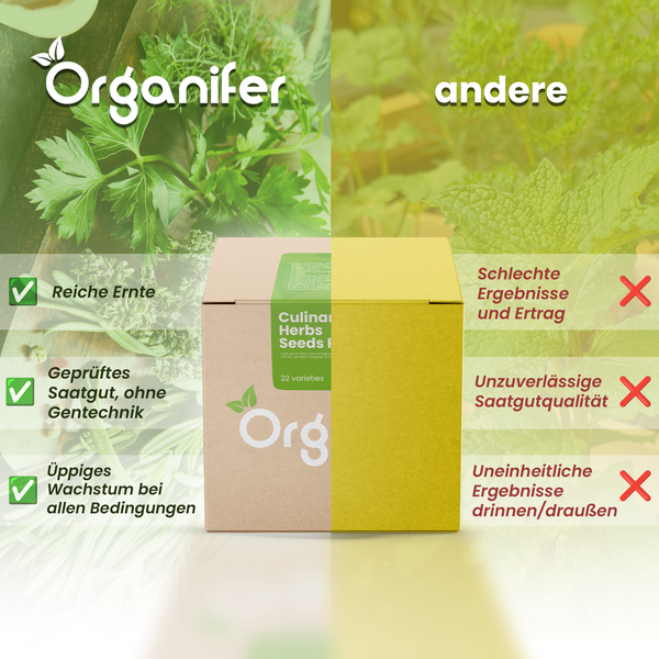 Vergleich von Organifer Kräutersamen mit anderen Produkten, mit Hinweisen zu Ernte, Saatgutqualität und Wachstum