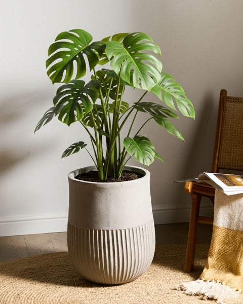 Grauer Pflanztopf mit vertikalen Rillen