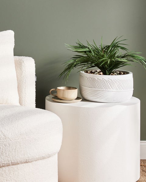 Szene mit Topfpflanze, Tasse und Sofa