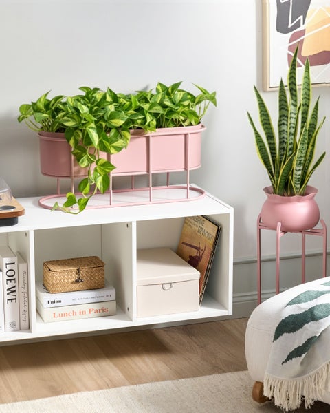 Dekorative Inneneinrichtung mit einem weißen Regalsystem, Pflanzen in Pflanzgefäßen und dekorativen Aufbewahrungsboxen.