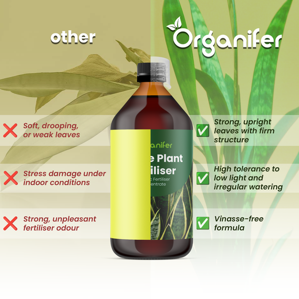Vergleich von Organifer Flüssigdünger mit anderen Produkten zeigt Vorteile wie kräftige Blätter, hohe Lichttoleranz und vinassefreie Formel.