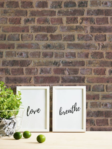 Organifer Golden Gourmet Schalotten-Set, 5 Kilogramm, verpackt im Netz