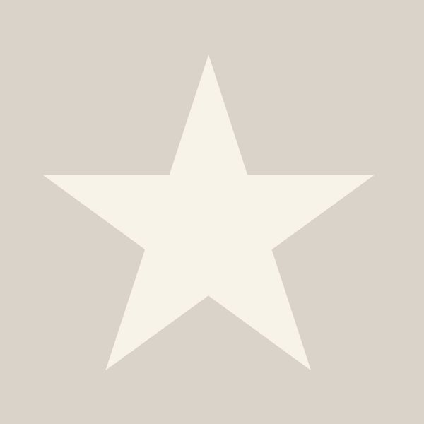 Origin Wallcoverings Tapete Sterne Grau - 53 cm x 10.05 m - 346826