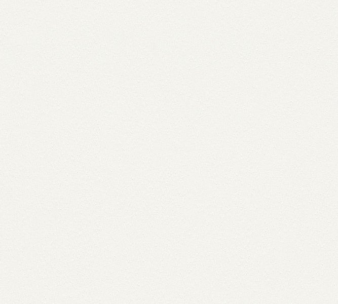 Nahaufnahme von Fichtenzweigen