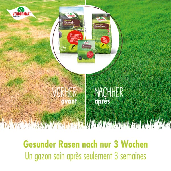 Vorher-Nachher-Vergleich von Rasenflächen mit Produkten von Verdurmax: Garten- und Rasenkalk, Rasendünger sowie Rasensamen