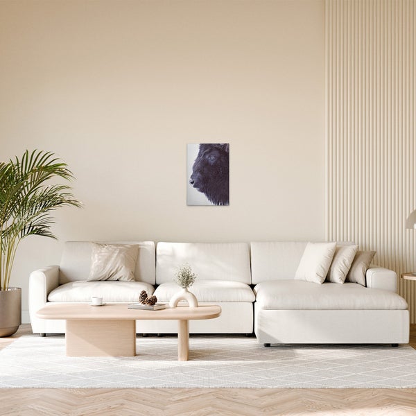 Dekoratives Leinwandbild mit einem Büffel an einer Wand über einem Sofa in einem Wohnzimmer