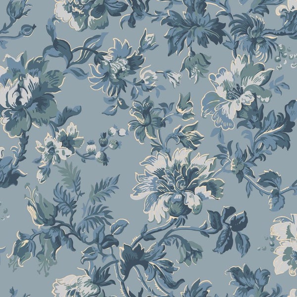 Steinreiniger im 5-Liter-Kanister für Gehwege, Terrassen und Fassaden