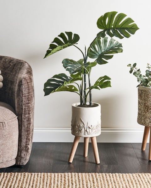 Dekorative Monstera Pflanze im Topf mit Holzfüßen neben einem Sessel und einem Teppich