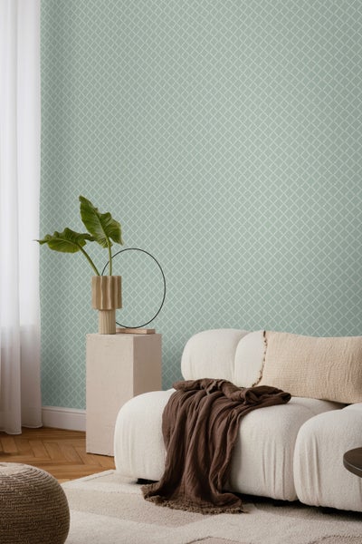 Nahaufnahme eines Buchsbaumzweigs mit Blättern und Blütenknospen