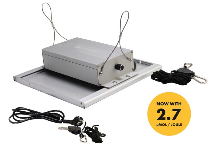 Caluma Growbox Komplettset 40x40x160 cm, 75W LED, für 1 Pflanze