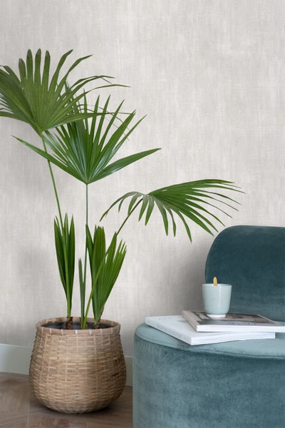 Dekorative Pflanze im Korb neben blauem Hocker und Büchern vor einer strukturierten Wand