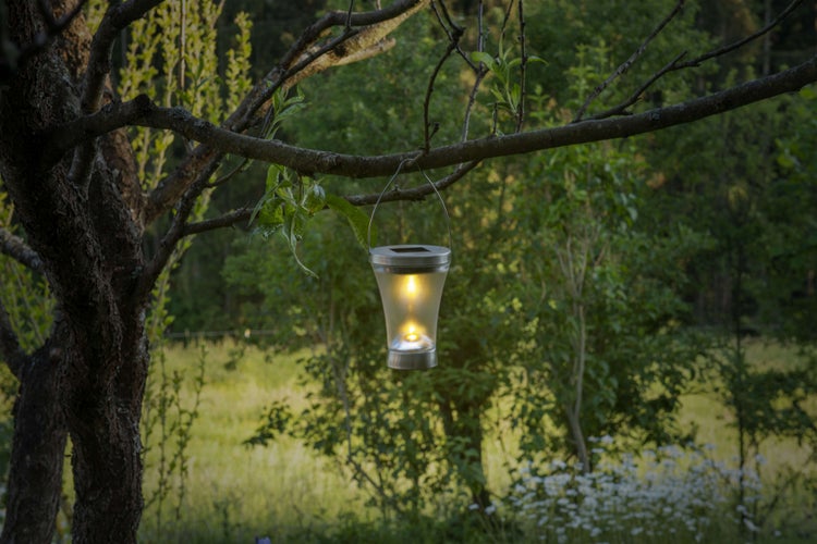Dekorative Solarleuchte hängt an einem Baum im Garten.