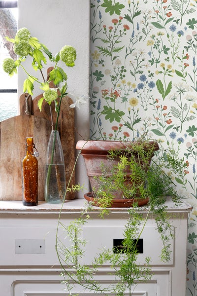 Dekoratives Stillleben mit Blumentapete, Topfpflanze und Vintage-Objekten auf einem Sideboard