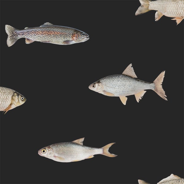 ESTAhome Tapete Fische Schwarz und Grau - 50 x 900 cm - 139363