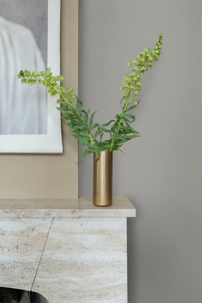 Dekorative Zimmerpflanze in goldener Vase auf einem Kaminsims