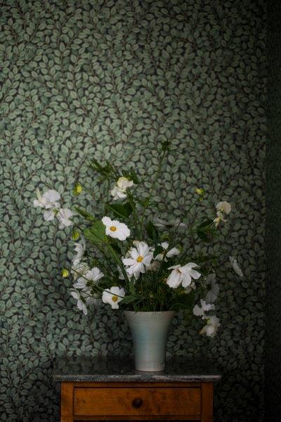 Detailansicht eines gepolsterten Sitzkissens