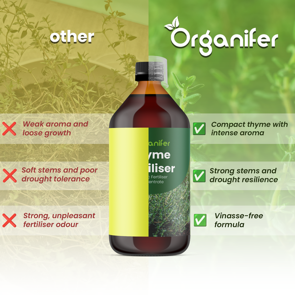 Organifer Logo. Vergleich von Thymian-Dünger mit anderen Produkten, Vorteile: intensives Aroma, kräftige Stiele, vinassefreie Formel.
